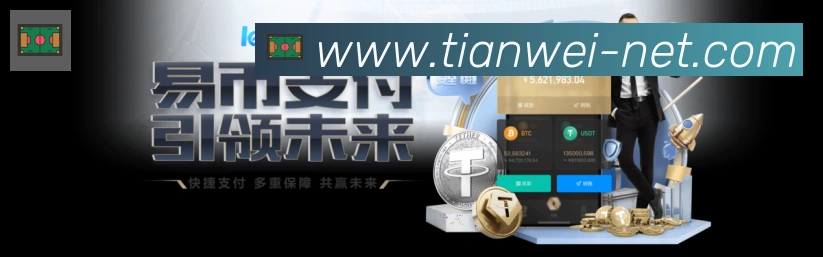 未来规划